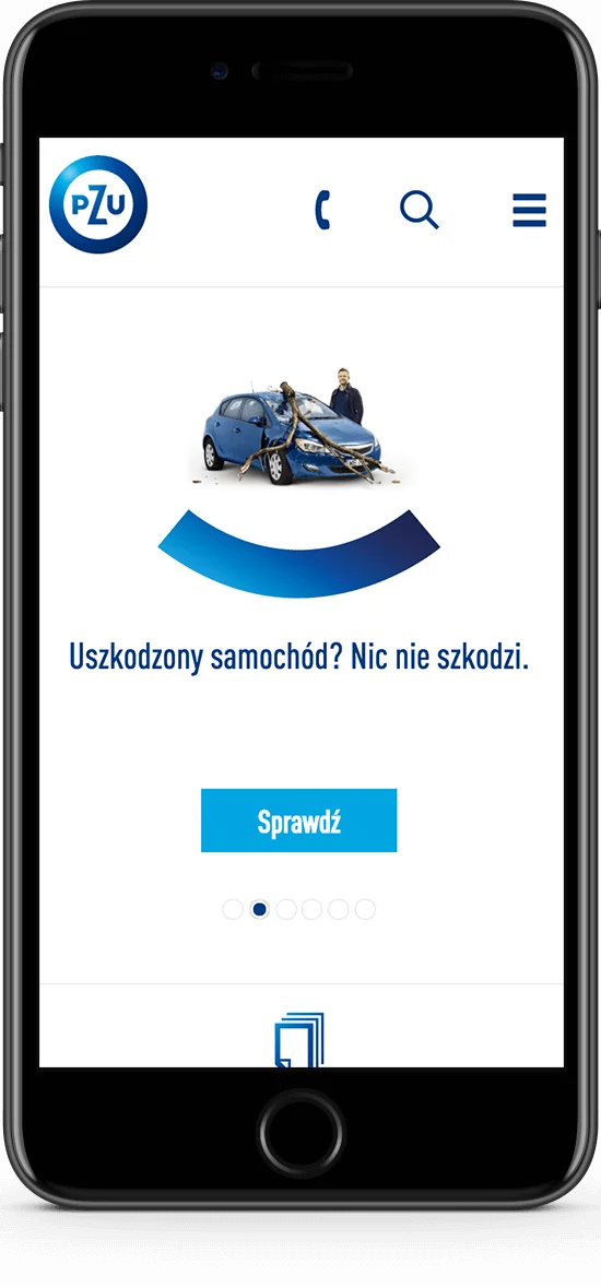 Mobile PZU project presentation