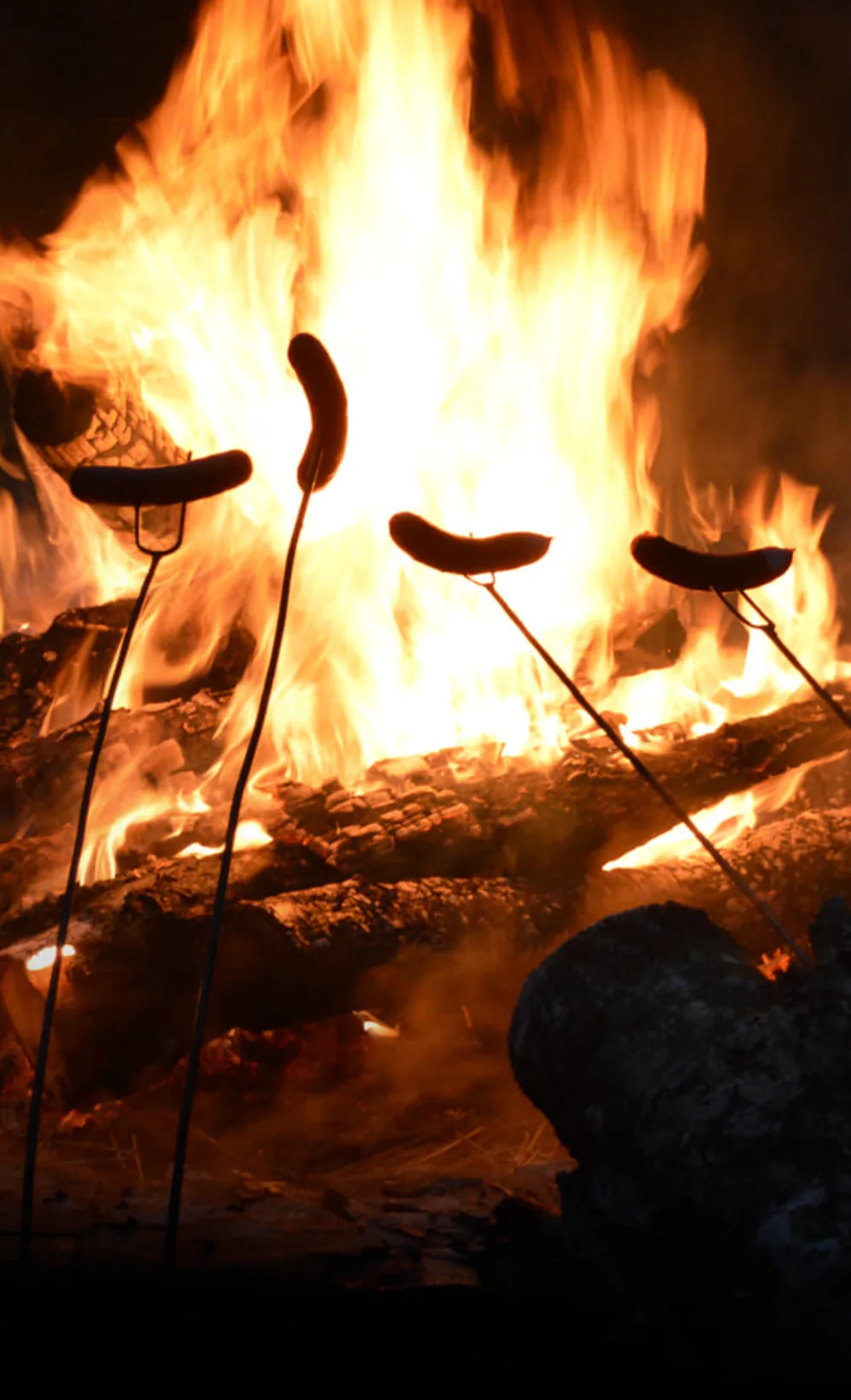 Bonfire and outdoor cooking